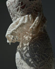 Elegant Lace Midi Suit - Maelle Paris